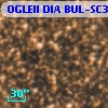 OGLEII DIA BUL-SC30   2776