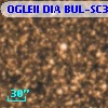 OGLEII DIA BUL-SC30   3053