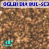 OGLEII DIA BUL-SC30   3202
