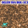 OGLEII DIA BUL-SC30   3578
