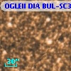 OGLEII DIA BUL-SC30   3674