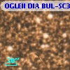 OGLEII DIA BUL-SC30   4063