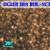 OGLEII DIA BUL-SC30   4468