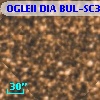 OGLEII DIA BUL-SC30   4566
