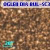 OGLEII DIA BUL-SC30   4771