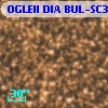 OGLEII DIA BUL-SC30   4857