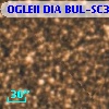 OGLEII DIA BUL-SC30   5755