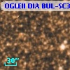 OGLEII DIA BUL-SC30   5829