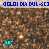 OGLEII DIA BUL-SC30   6065