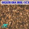 OGLEII DIA BUL-SC30   6565