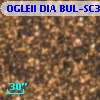 OGLEII DIA BUL-SC30   6761