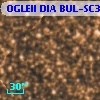 OGLEII DIA BUL-SC30   6841