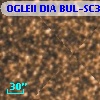 OGLEII DIA BUL-SC30   6889