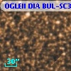 OGLEII DIA BUL-SC31     96