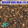 OGLEII DIA BUL-SC31    142