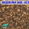 OGLEII DIA BUL-SC31    452
