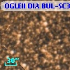 OGLEII DIA BUL-SC31    513