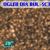 OGLEII DIA BUL-SC31    589
