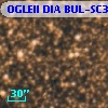 OGLEII DIA BUL-SC31    621
