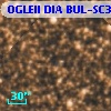 OGLEII DIA BUL-SC31    686