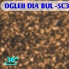 OGLEII DIA BUL-SC31    921
