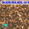 OGLEII DIA BUL-SC31    968
