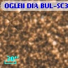 OGLEII DIA BUL-SC31   1031