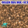 OGLEII DIA BUL-SC31   1155