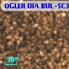 OGLEII DIA BUL-SC31   1261