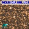 OGLEII DIA BUL-SC31   1397