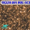 OGLEII DIA BUL-SC31   2014