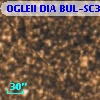 OGLEII DIA BUL-SC31   2068