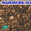 OGLEII DIA BUL-SC31   2204