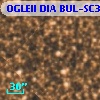 OGLEII DIA BUL-SC31   2642