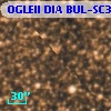 OGLEII DIA BUL-SC31   2771