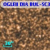 OGLEII DIA BUL-SC31   2897