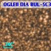 OGLEII DIA BUL-SC31   2963