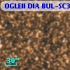OGLEII DIA BUL-SC31   3058
