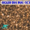 OGLEII DIA BUL-SC31   3126