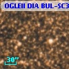OGLEII DIA BUL-SC31   3254