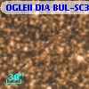 OGLEII DIA BUL-SC31   3907