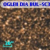OGLEII DIA BUL-SC31   4213