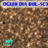 OGLEII DIA BUL-SC31   4437