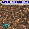 OGLEII DIA BUL-SC31   4671