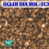 OGLEII DIA BUL-SC31   4730