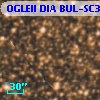 OGLEII DIA BUL-SC32    141