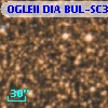 OGLEII DIA BUL-SC32    305