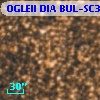 OGLEII DIA BUL-SC32   1243