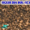OGLEII DIA BUL-SC32   1253