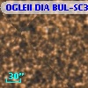 OGLEII DIA BUL-SC32   1699